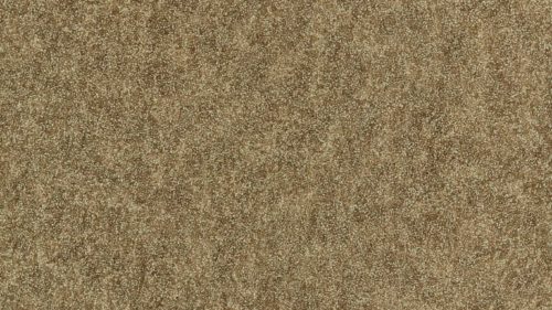 Shagreen 312904